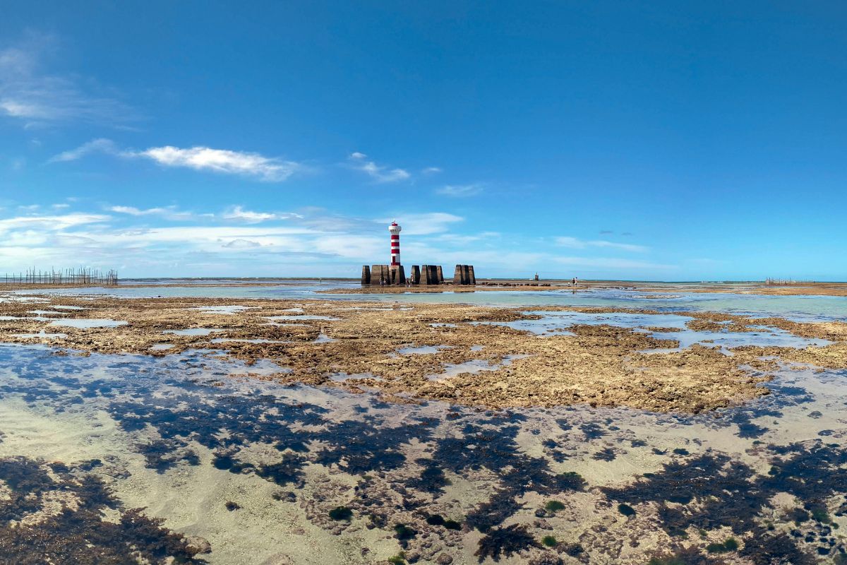 Maceió para Recife